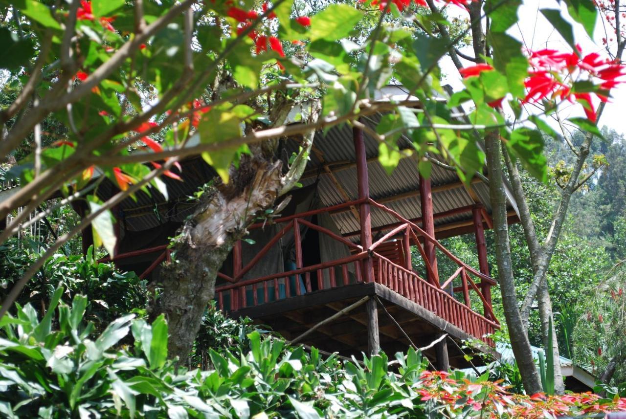 Crater Bay Cottages Kabale Exterior foto